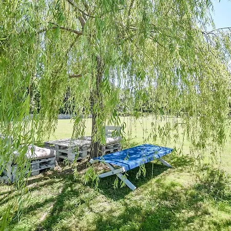 4 Bedroom Pet Friendly In Pietrasanta
